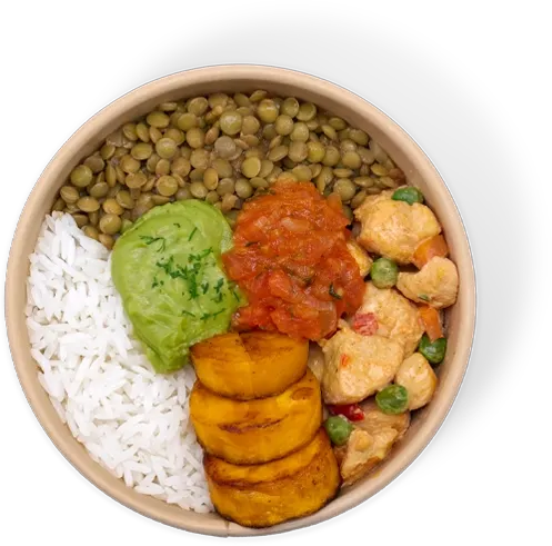 Fricasé de pollo